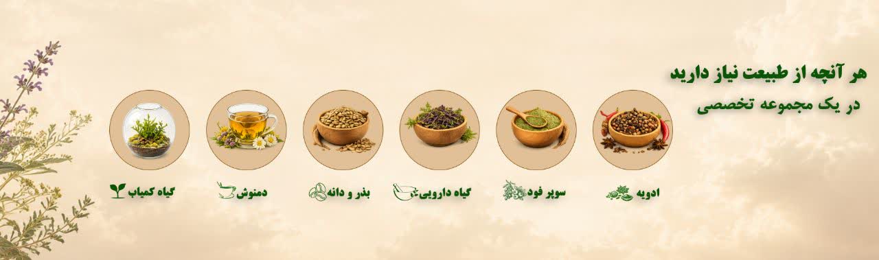بنر فروشگاه اینترنتی آنی رز
